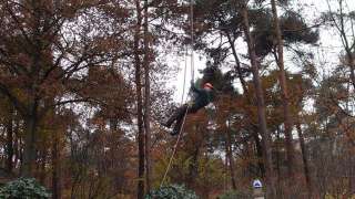 Bomen rooien Ottersum